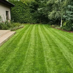 Perfekcyjnie przystrzyżony trawnik z wyraźnymi pasami, przylegający do domu z drewnianymi schodami i rabatą kwiatową, w tle wysokie drzewa i krzewy.