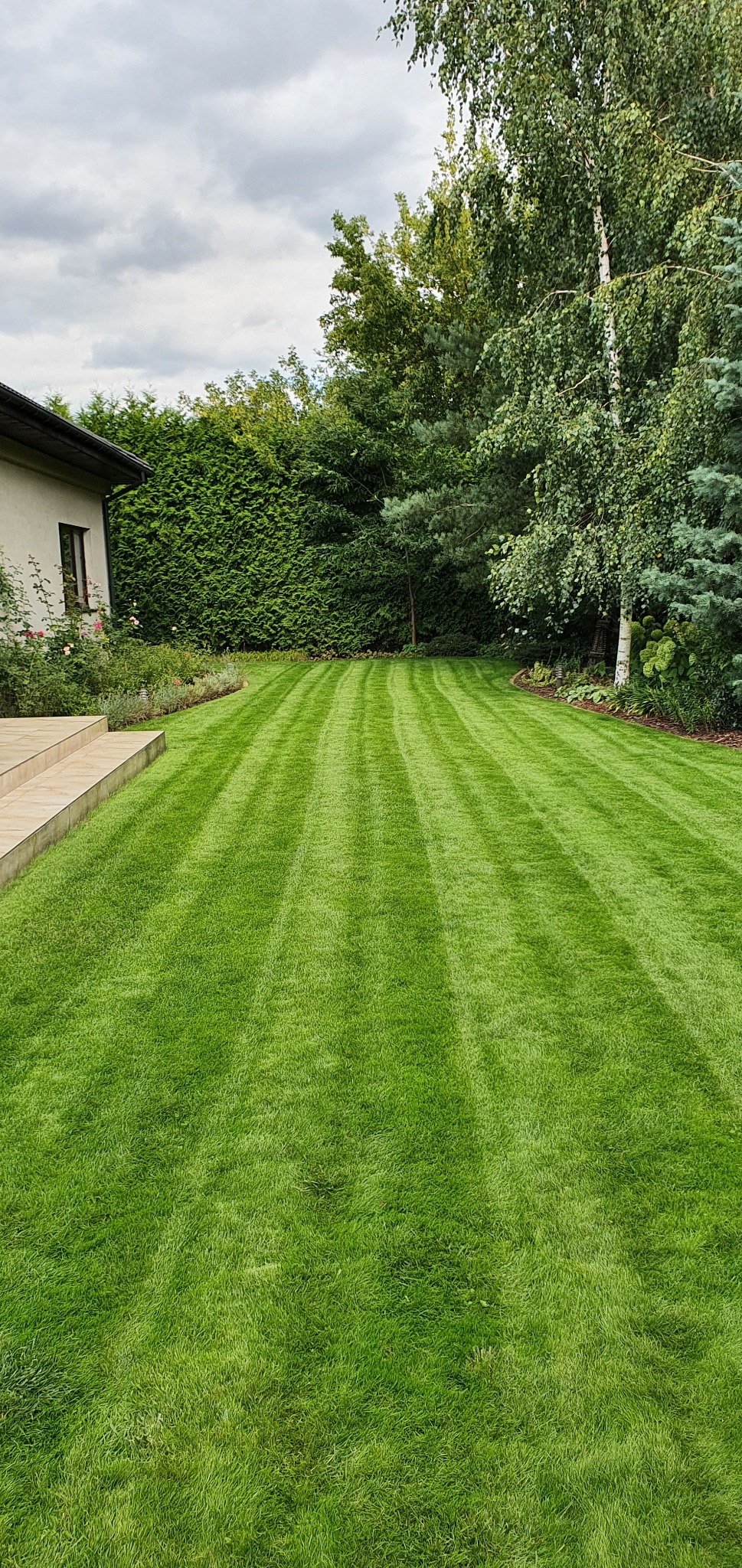 Perfekcyjnie przystrzyżony trawnik z wyraźnymi pasami, przylegający do domu z drewnianymi schodami i rabatą kwiatową, w tle wysokie drzewa i krzewy.