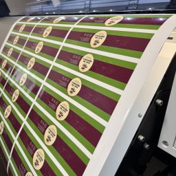 Naklejki Białystok 1