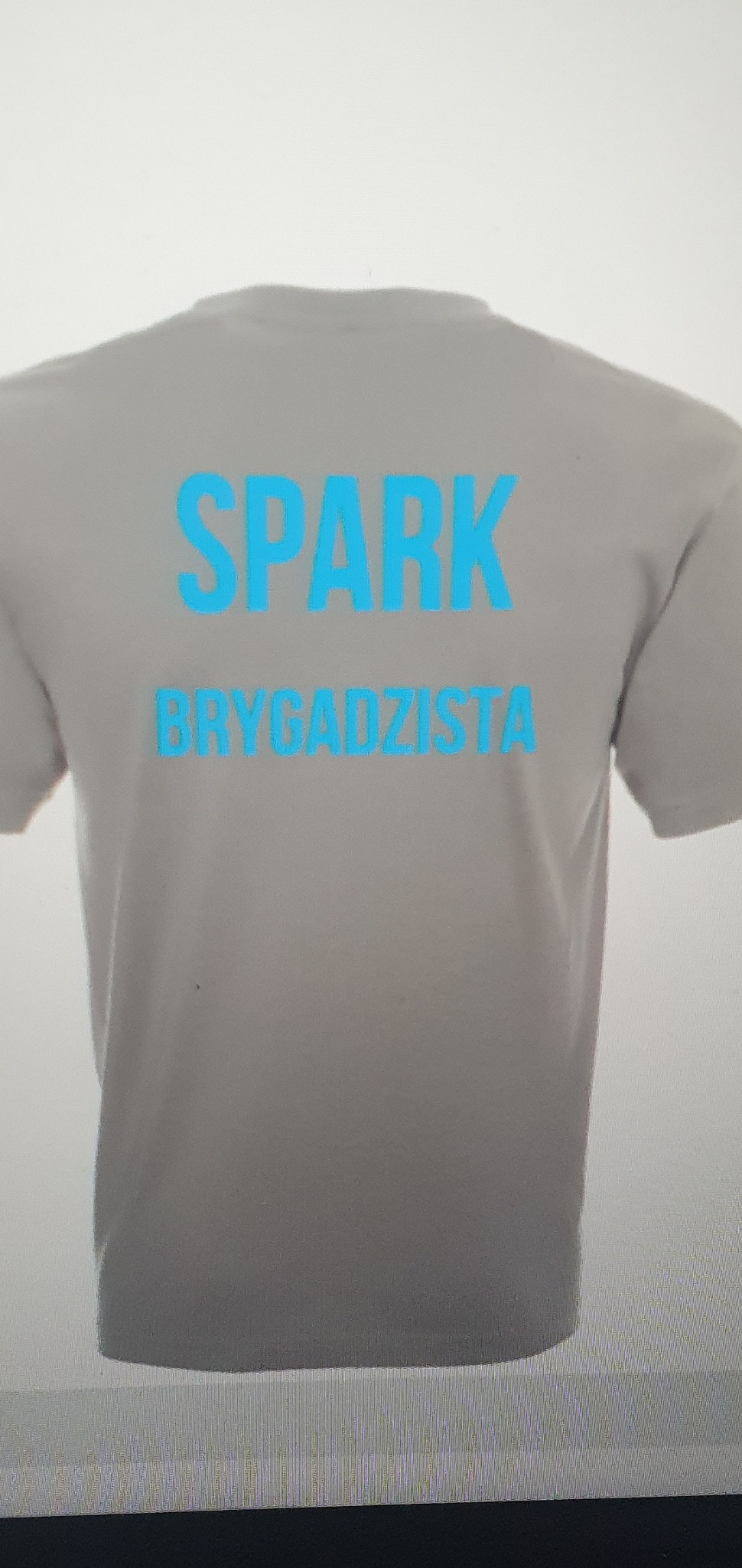 Szara koszulka z nadrukiem w kolorze błękitnym: 'SPARK BRYGADZISTA', widok z tyłu.