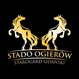 Pensjonat dla koni. Nauka Jazdy Konnej. Oferta ogierów dla hodowców. Wynajem sali bankietowej. Teren do wynajęcia na imprezy.