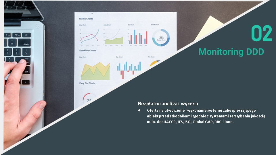 Bezpłatna analiza i wycena