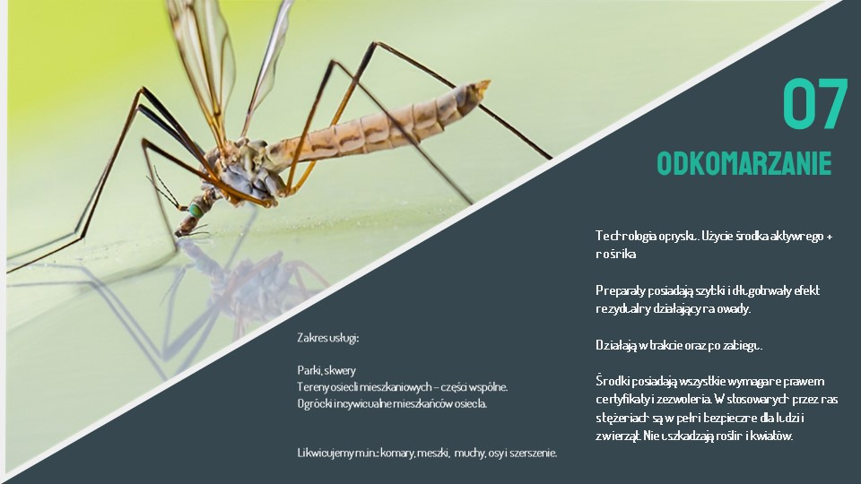 Odkomarzanie placów, skwerów, parków, ogródków