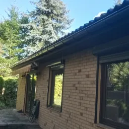 Widok z zewnątrz na dom z cegły z ciemnymi ramami okiennymi i szarym chodnikiem z kamiennych płyt, z widocznym fragmentem ogrodu i wysokimi drzewami iglastymi na tle błękitnego nieba.