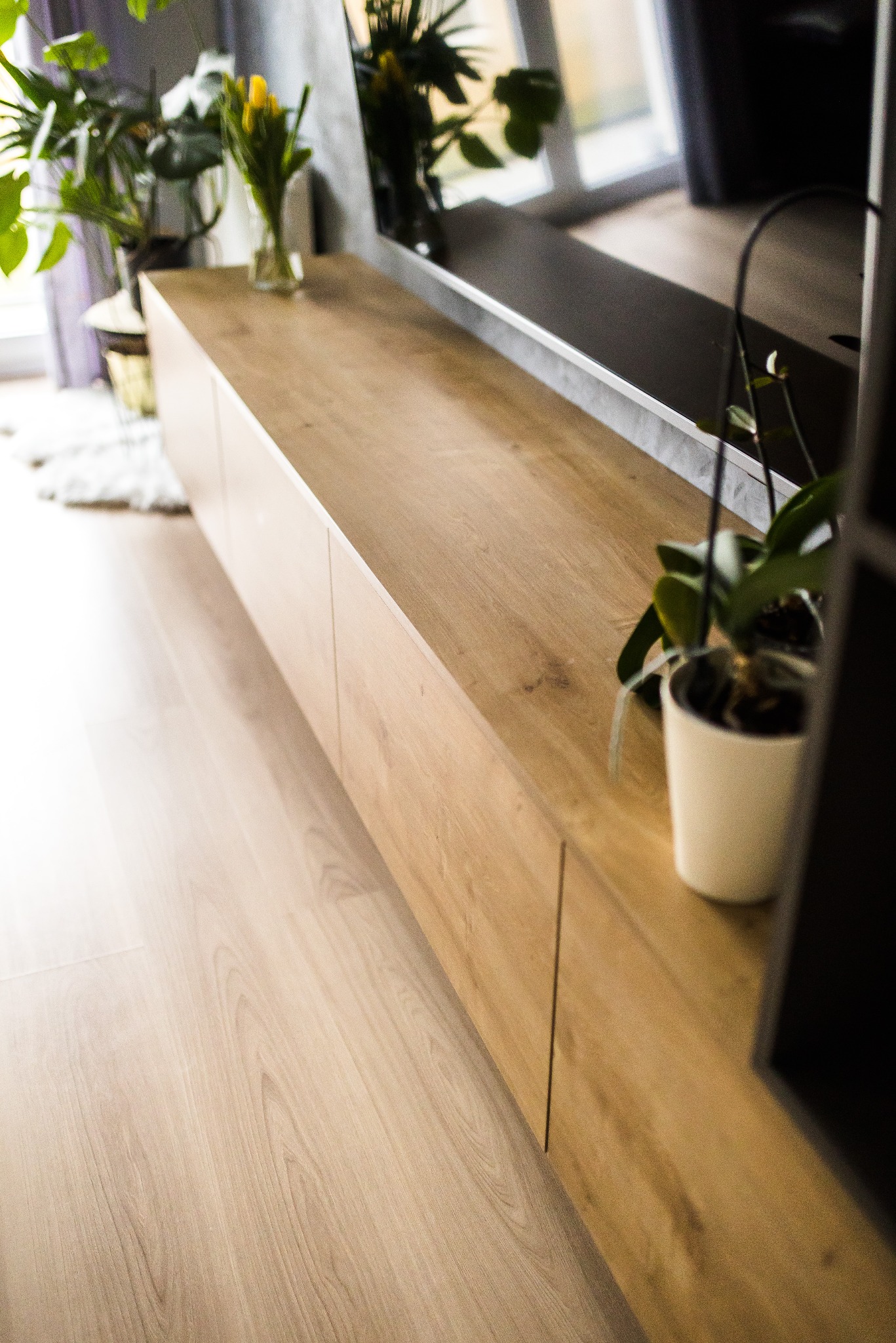 Długa, niska szafka RTV z drewnianymi frontami, na której stoją rośliny w doniczkach, umieszczona pod telewizorem, z widoczną podłogą z paneli.