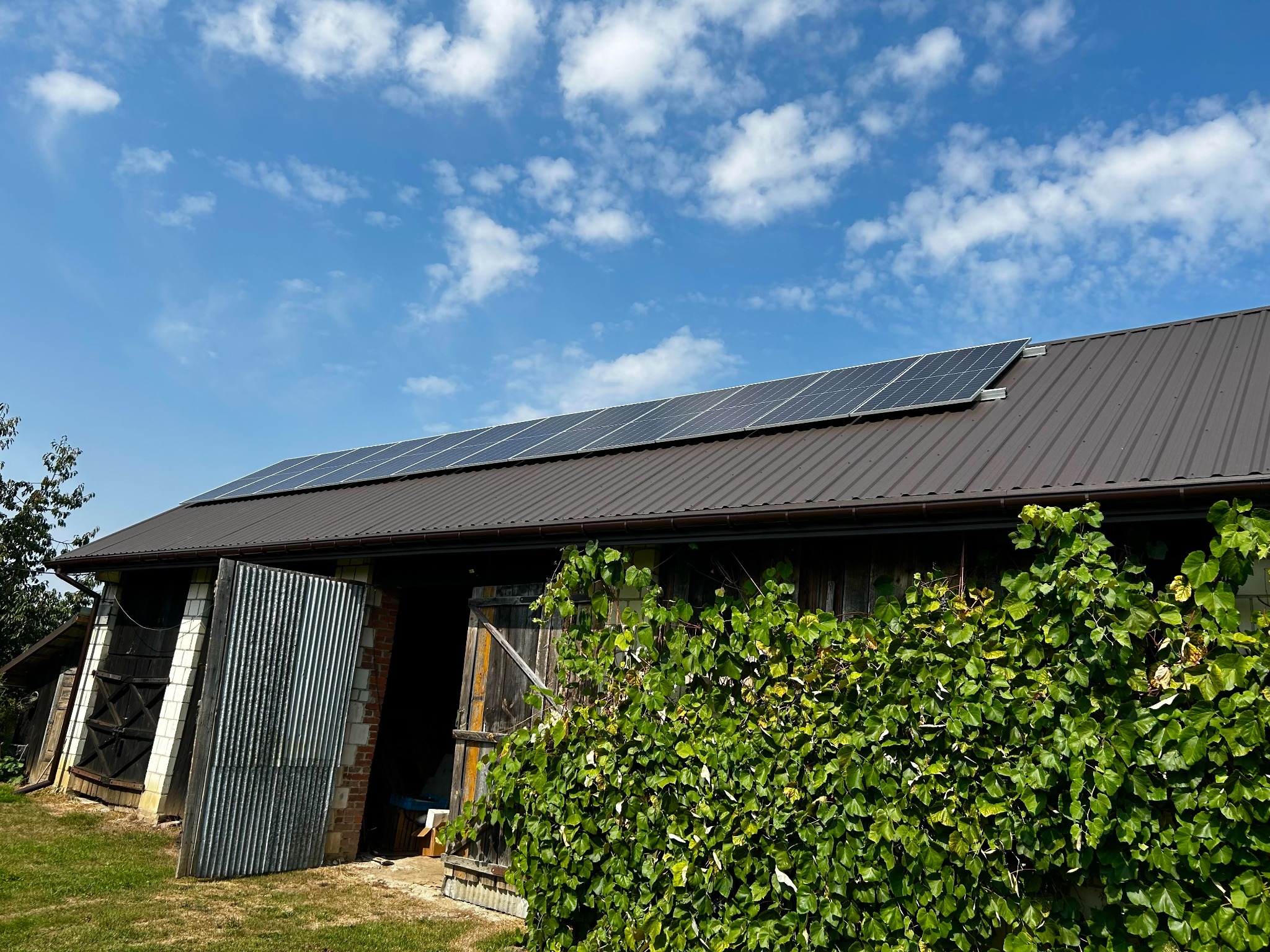 Panele słoneczne zamontowane na brązowym dachu budynku gospodarczego z otwartymi wrotami i bujną zielenią pnącą się po ścianie w słoneczny dzień.