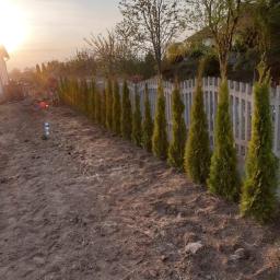 Dawid Kolasa - Po nasadzeniu