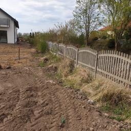 Dawid Kolasa - Przed nasadzeniem