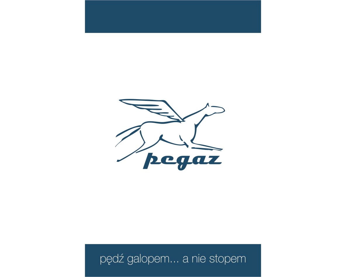 Minimalistyczny logotyp przedstawiający galopującego Pegaza z napisem 'pegaz' i hasłem 'pędź galopem... a nie stopem' w kolorze granatowym na białym tle.