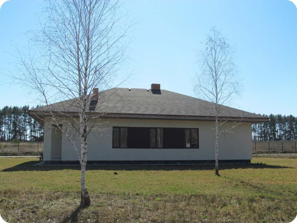 Parterowy dom z szarą dachówką i ciemnymi oknami, widoczny z zewnątrz na tle lasu i błękitnego nieba, z dwoma młodymi brzozami na pierwszym planie.