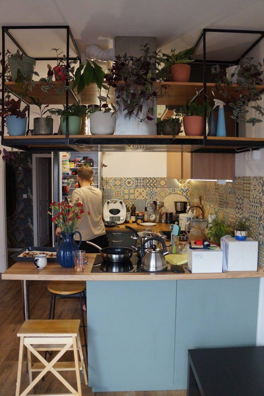 Wnętrze kuchni z wyspą kuchenną, na której znajdują się garnki, czajnik, kwiaty w wazonie, a nad nią półki z roślinami doniczkowymi; osoba stoi przy otwartej lodówce.