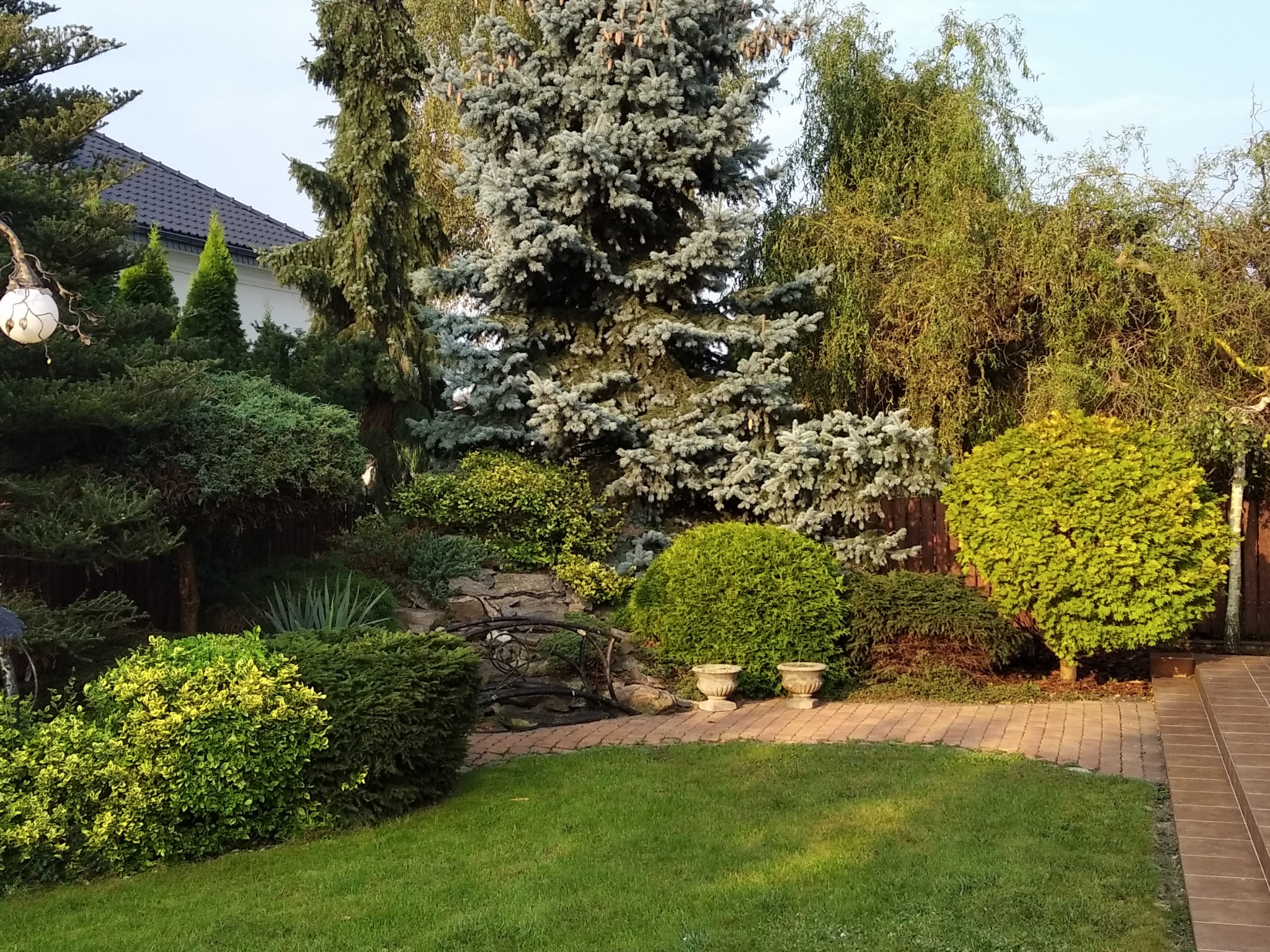 Urokliwy ogród z zadbanym trawnikiem, ozdobnymi krzewami, ścieżką z kostki, małym mostkiem nad strumieniem i różnorodnymi drzewami, w tym srebrzystą choinką.