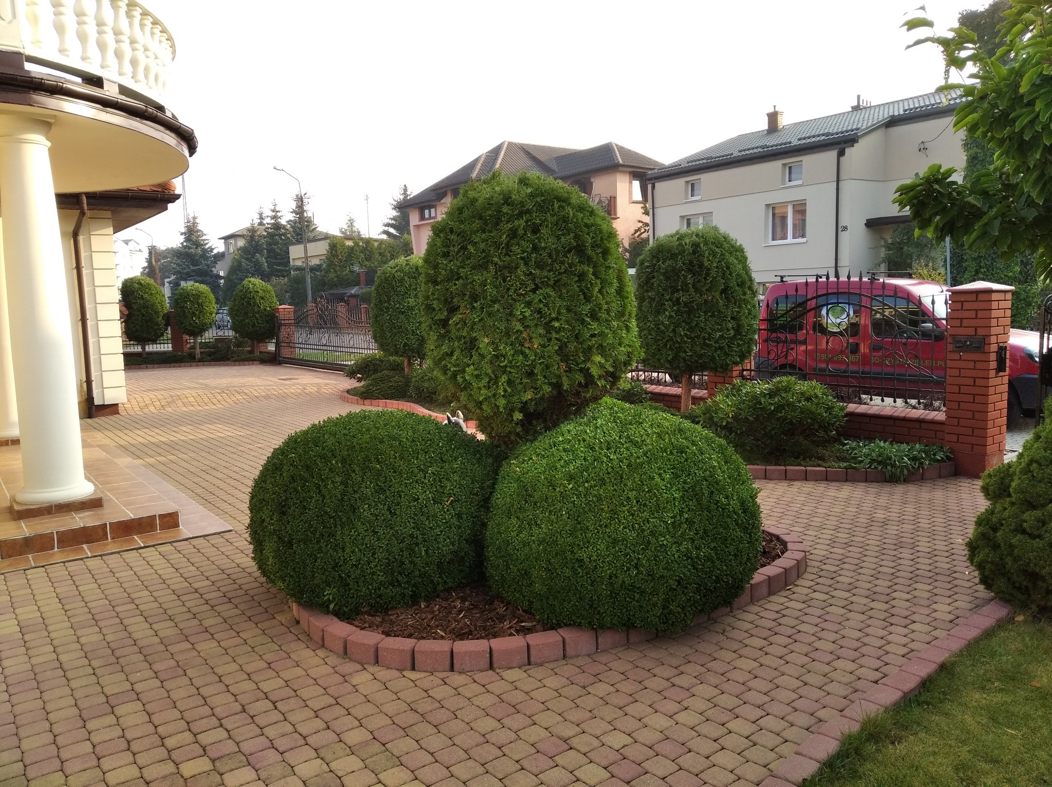Ogród przydomowy z formowanymi krzewami w kształcie kul i stożków, obrzeża z kostki, brukowany podjazd, widoczny fragment domu z kolumnami.