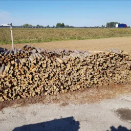 Sprzedaż drewna opałowego