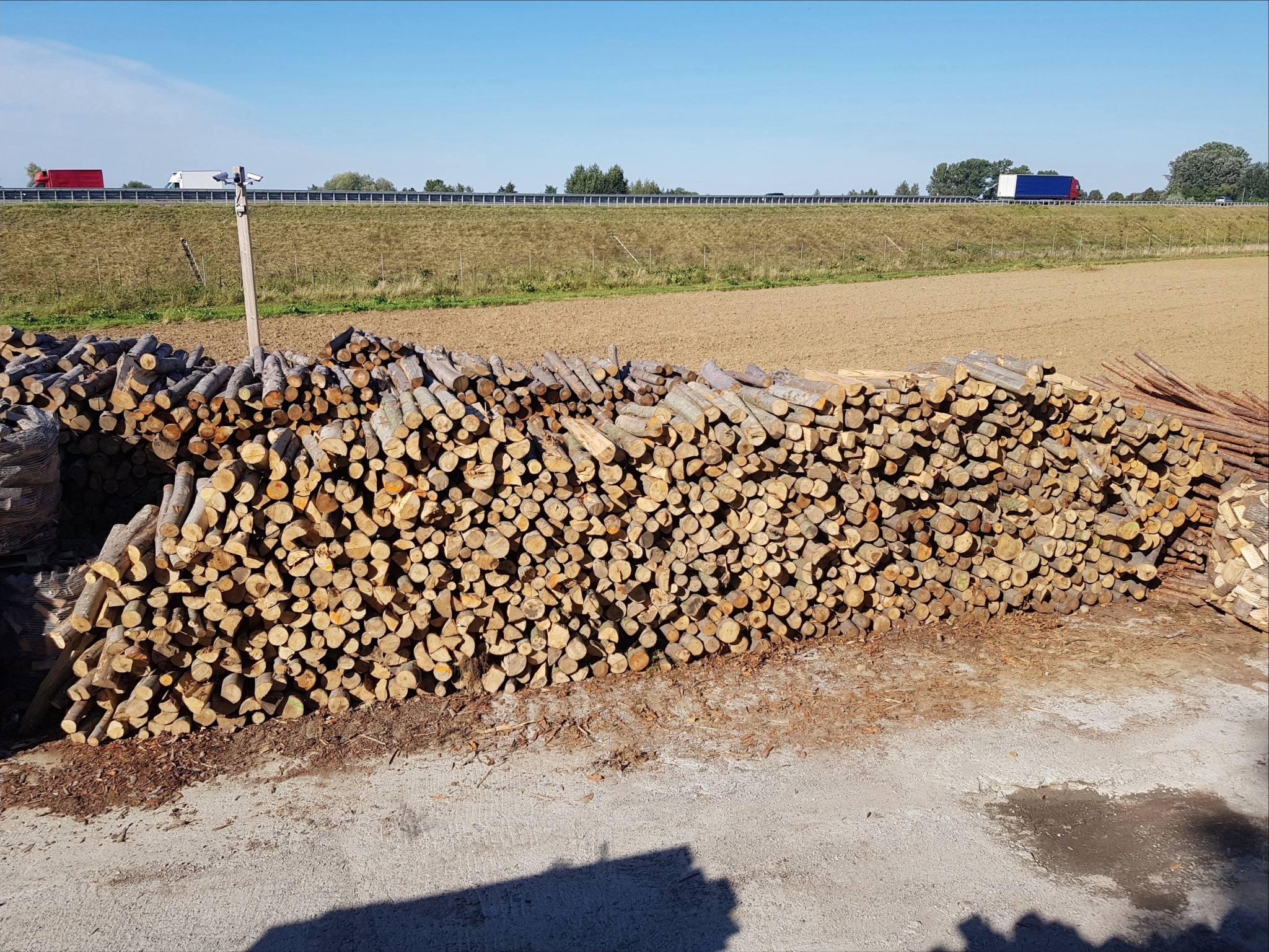 Sprzedaż drewna opałowego