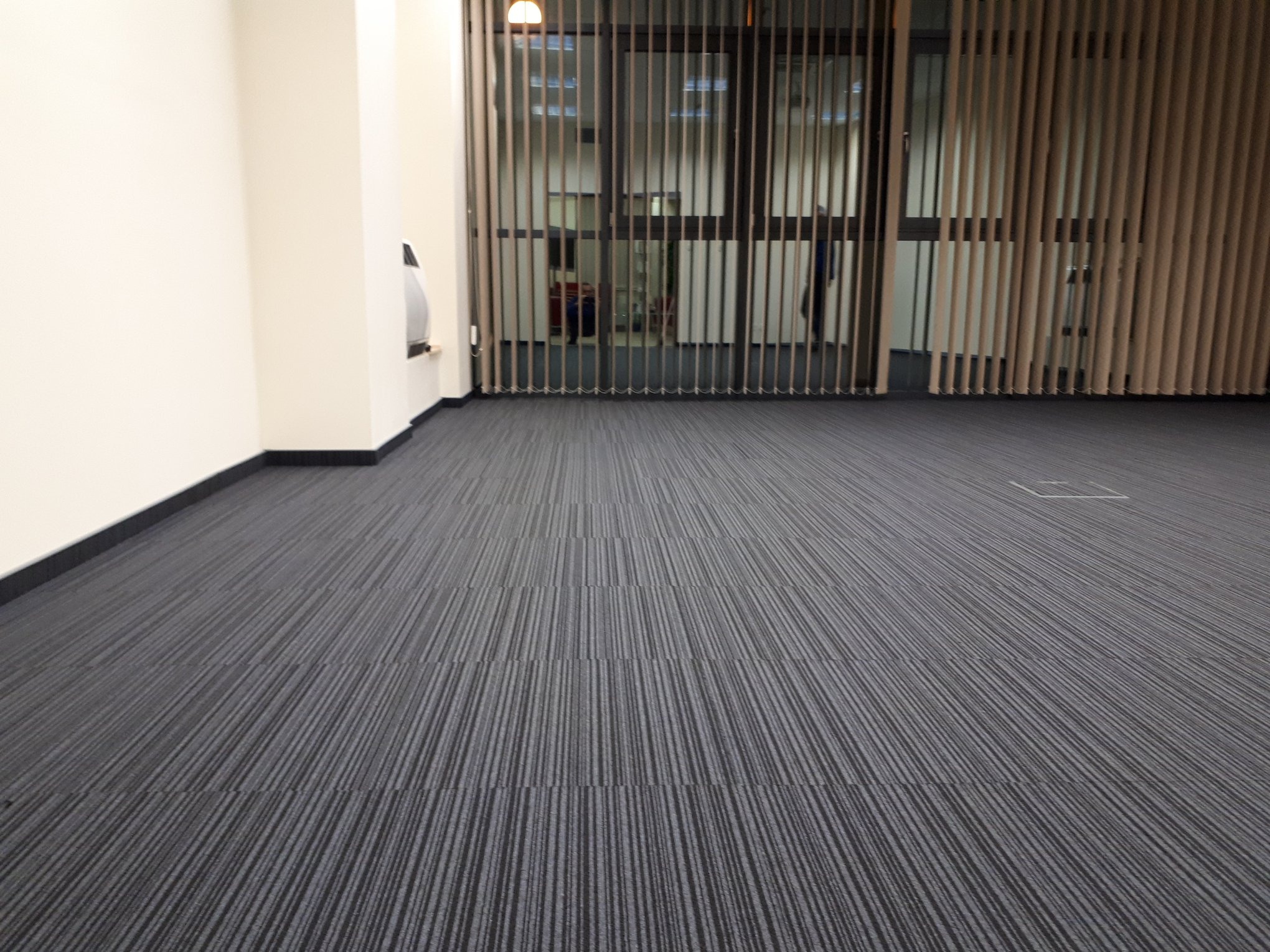 Nowo położona, szara wykładzina dywanowa w biurze z pionowymi żaluzjami w tle, widoczny fragment ściany i listwy przypodłogowe.