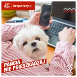 Nowość na rynku ubezpieczenie psa
