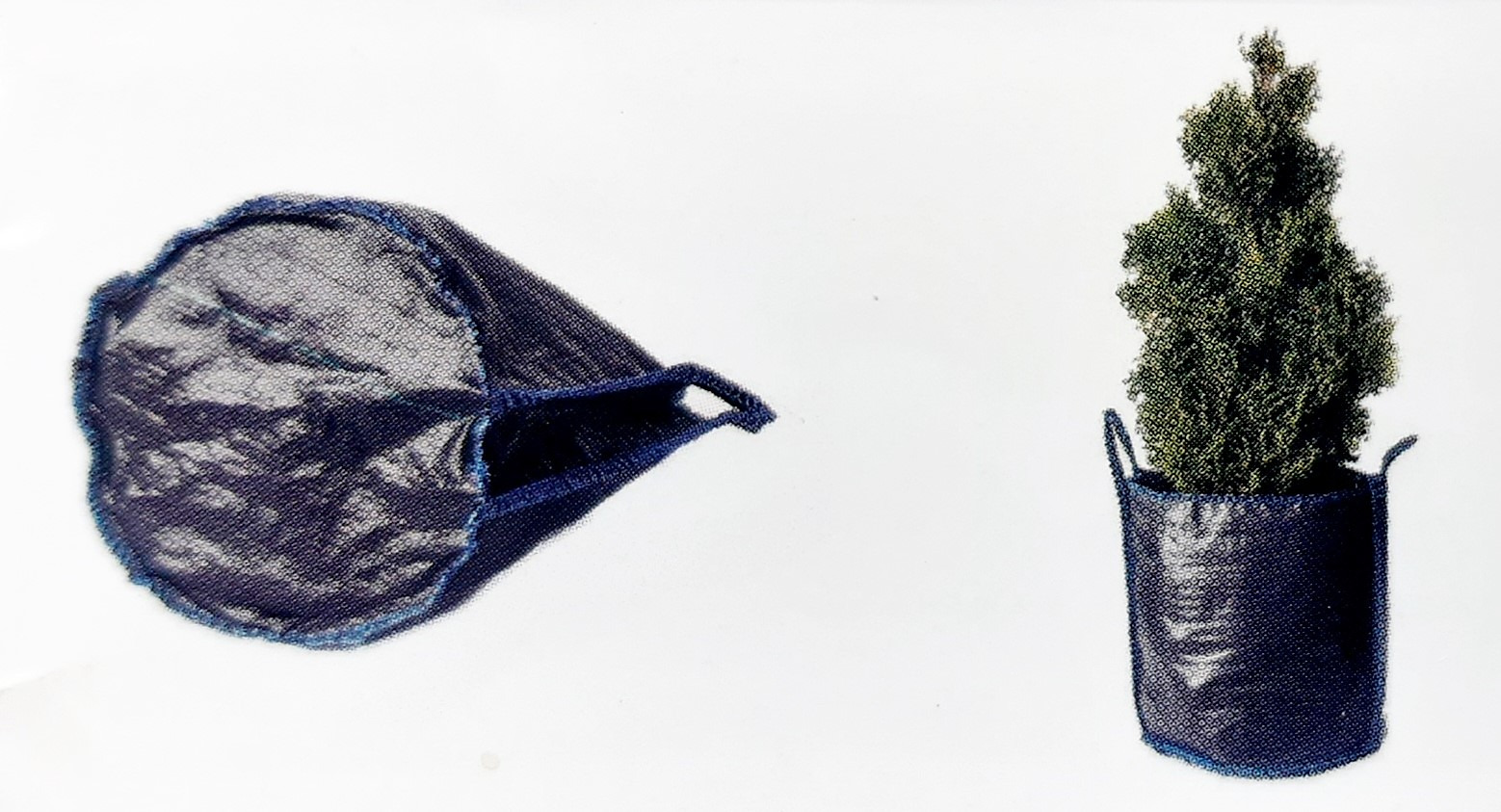 Niebieska siatkowa torba do transportu roślin, jedna pusta i rozłożona, druga z małym drzewkiem iglastym w środku, prezentacja firmy z Wrocławia.