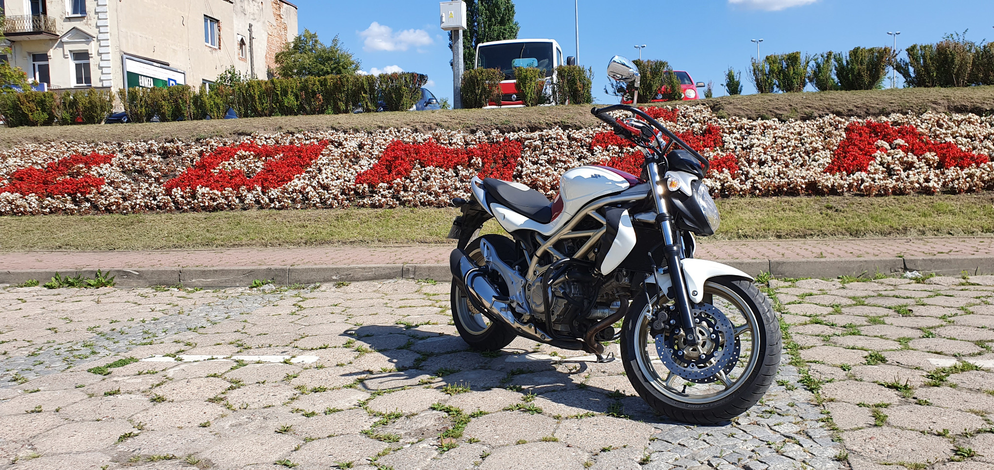 Biały motocykl Suzuki SV650 na tle klombu z kwiatów w barwach narodowych, widok z boku, na pierwszym planie kostka brukowa z porastającą ją trawą.
