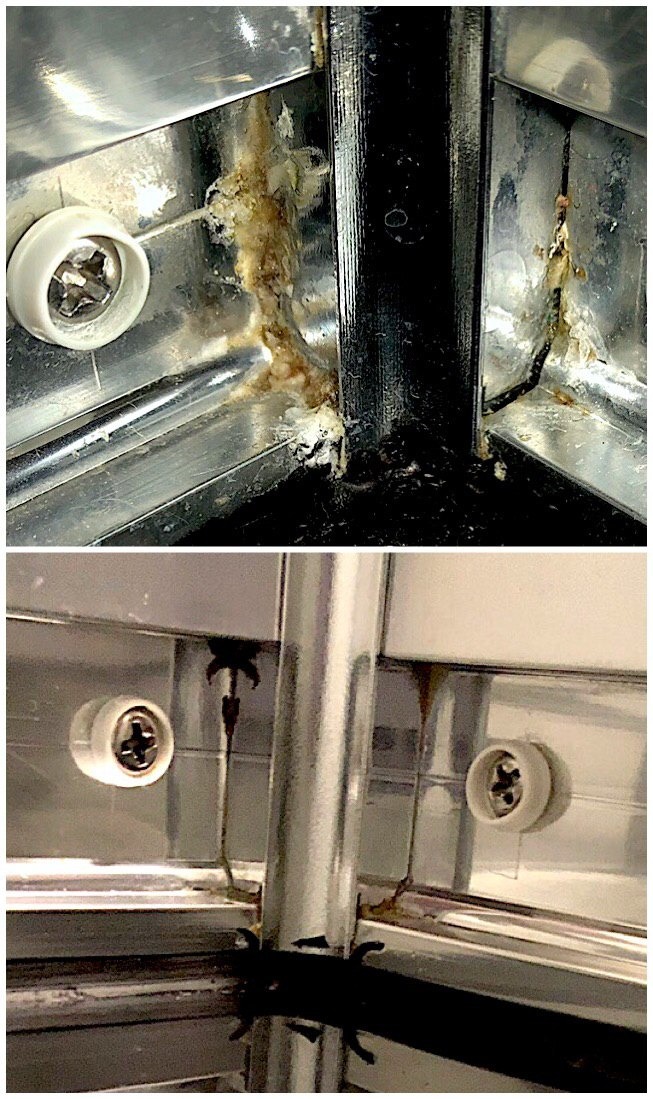 Zanieczyszczone narożniki kabiny prysznicowej z widocznymi osadami kamienia i pleśni, z bliska.