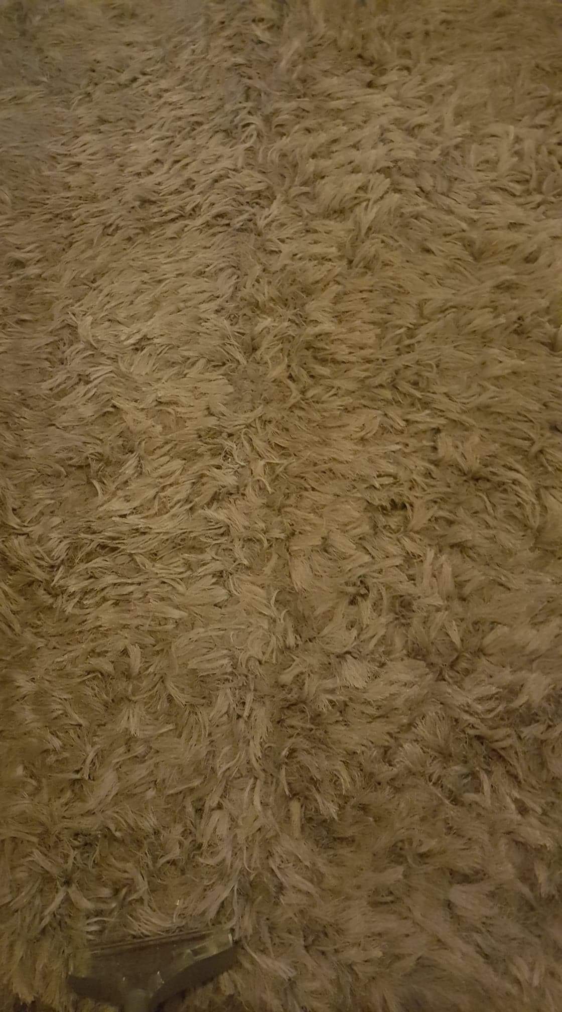 Beżowy dywan typu shaggy z widocznym fragmentem dyszy odkurzacza piorącego w lewym dolnym rogu.