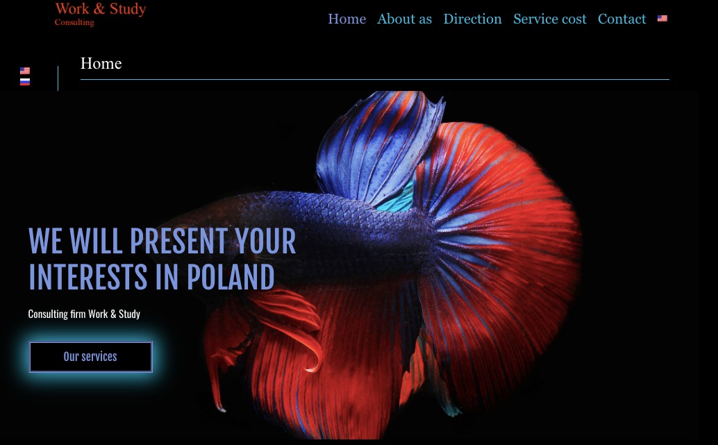 Strona internetowa firmy konsultingowej Work & Study z motywem ryby bojownika syjamskiego w kolorach czerwieni i błękitu, hasłem 'We will present your interests in Poland' i przyciskiem 'Our...