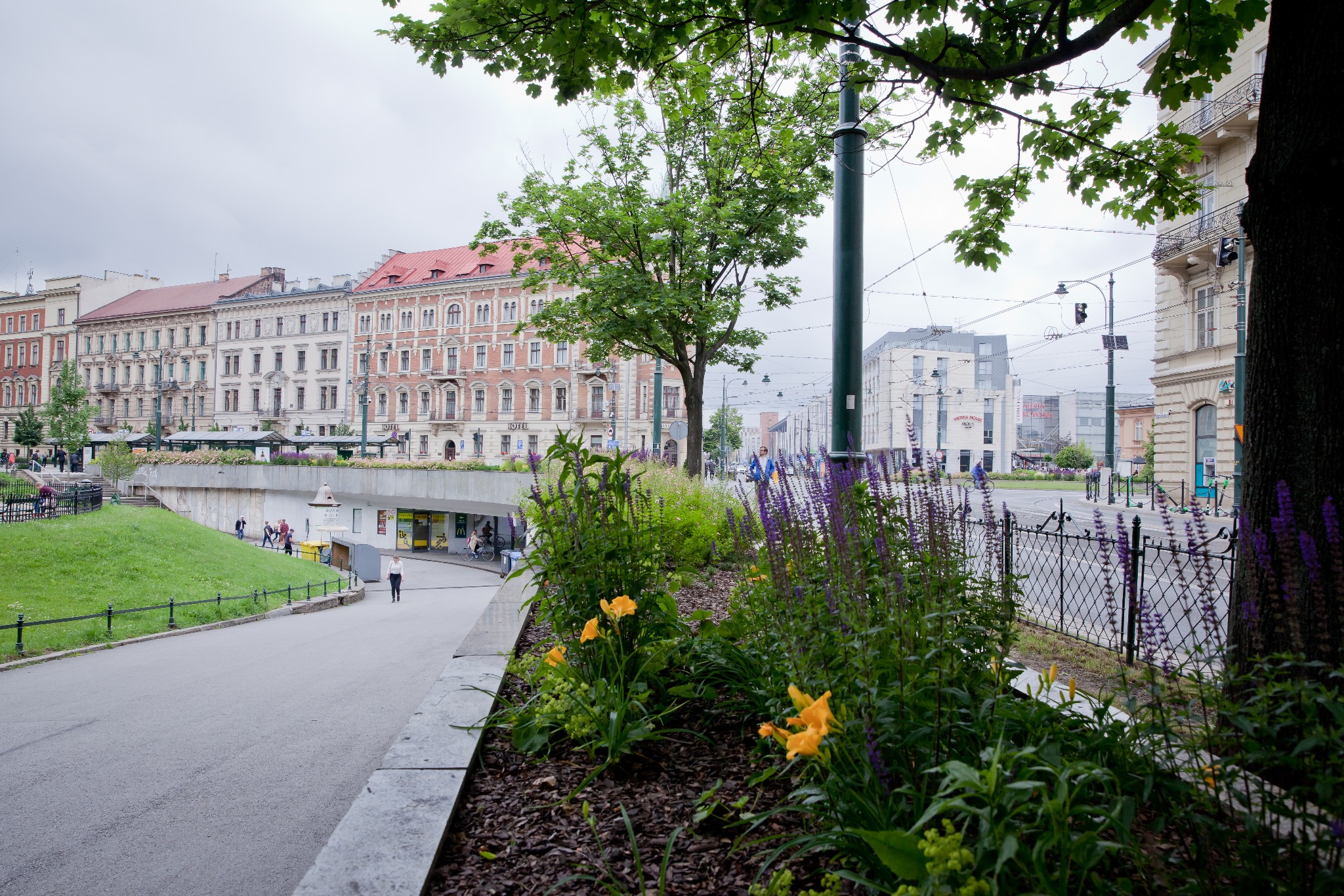 Ujęcie miejskiego krajobrazu z perspektywy kwietnika z żółtymi liliowcami i fioletową szałwią, w tle secesyjne kamienice i przejście podziemne w Krakowie.
