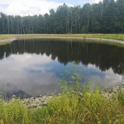 Zbiornik retencyjny otoczony kamieniami i roślinnością, odbicie drzew i nieba w wodzie, w tle las.