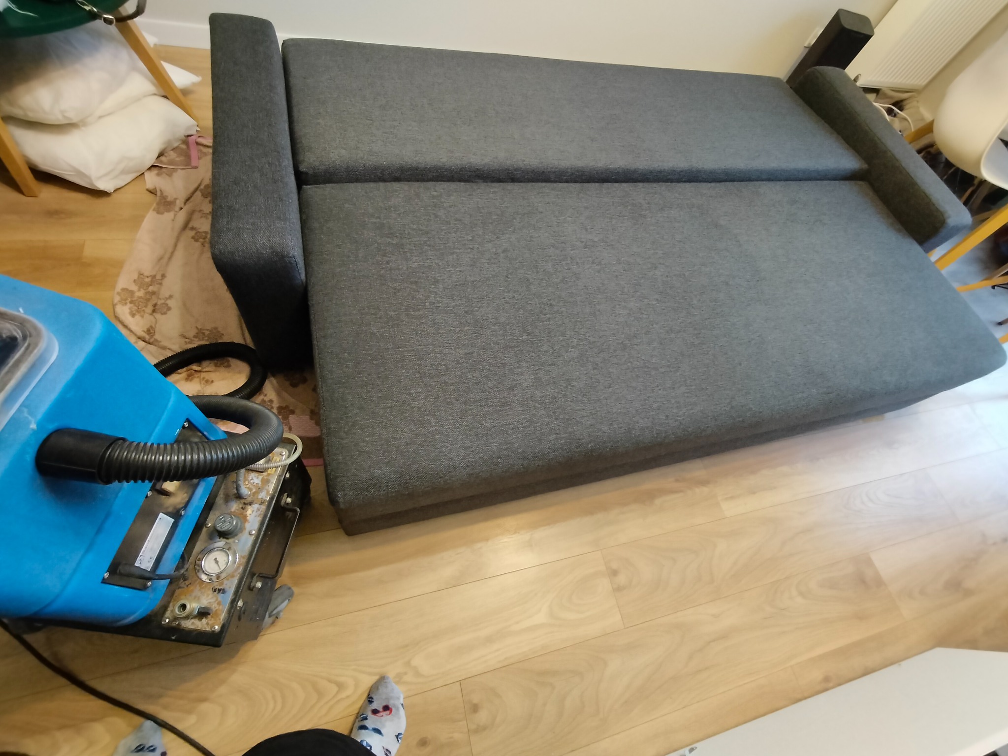 Szara rozkładana kanapa podczas prania ekstrakcyjnego, widoczny niebieski odkurzacz piorący z wężem i panelem sterowania, fragment podłogi i skarpetki w zabawne wzory.