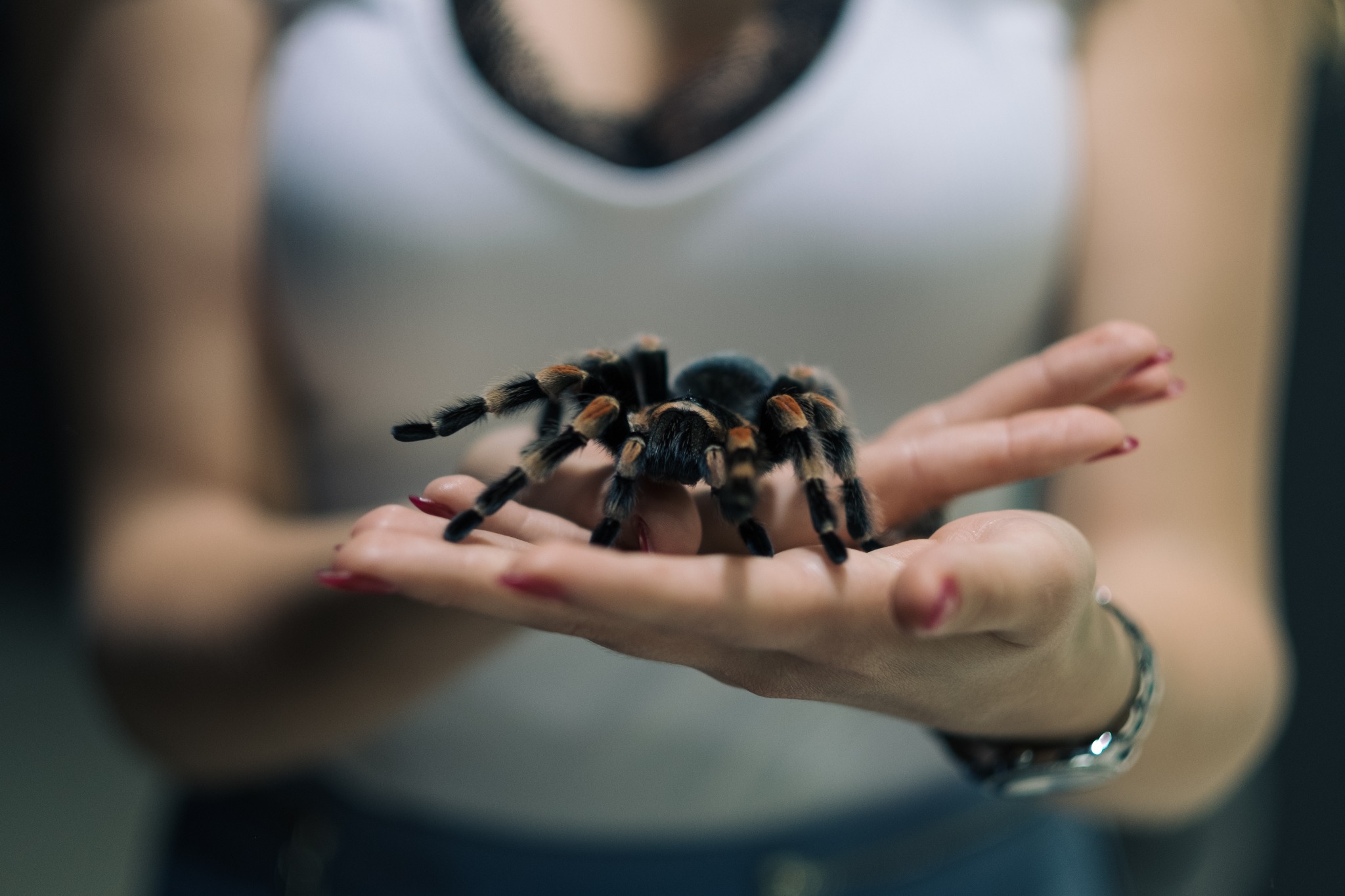 Zdjęcia z wystawy pająków z modelką