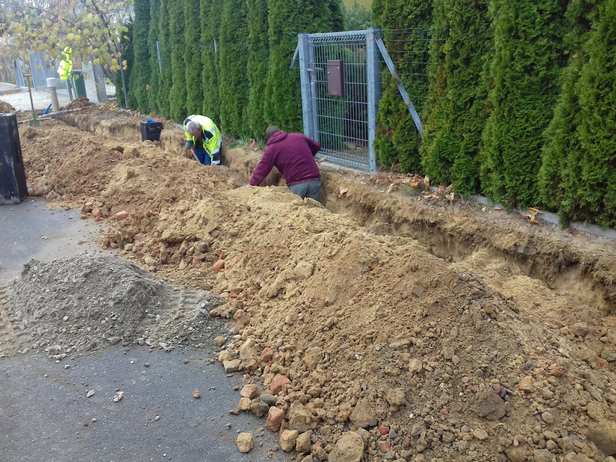 Dwaj mężczyźni kopią wąski rów w ziemi wzdłuż żywopłotu z tui i metalowej bramy, z widocznymi stertami wykopanej ziemi i gruzu.