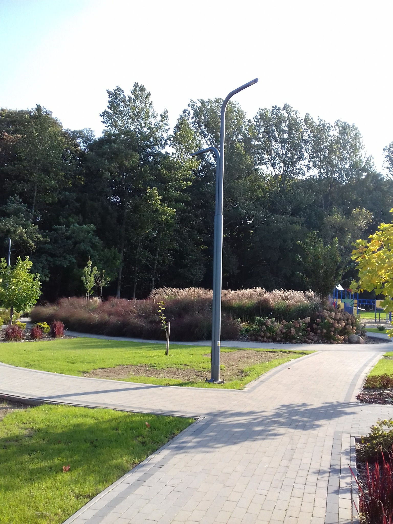 Skrzyżowanie chodników z kostki brukowej w parku z oświetleniem, ozdobnymi trawami i rabatami kwiatowymi; w tle widoczny plac zabaw.