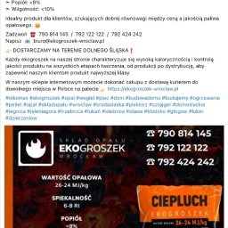 Reklama internetowa Sochaczew 5