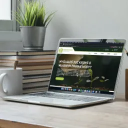 Realizacja strony internetowej