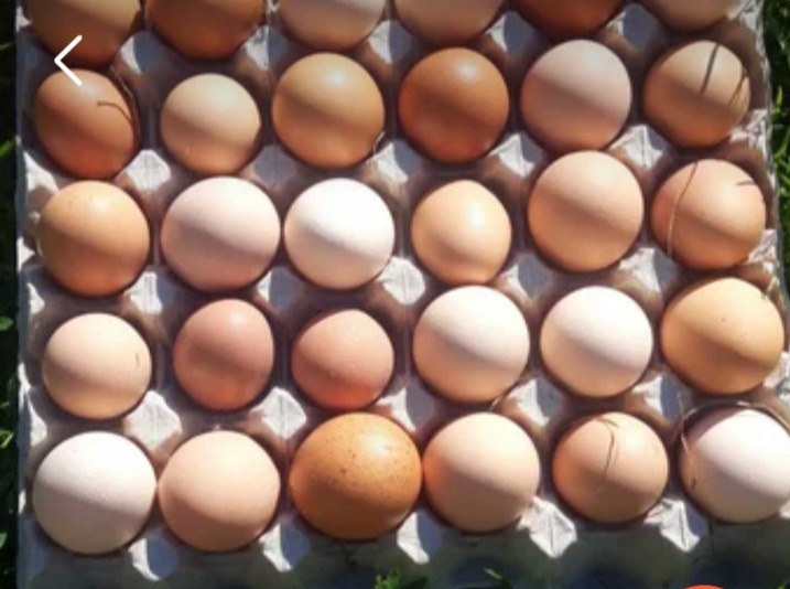 Jajka wiejskie z własnego gospodarstwa