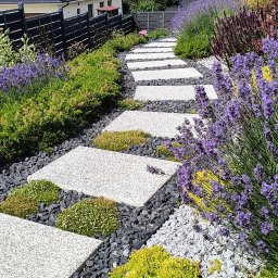 Pielęgnacja ogrodów Malbork 4