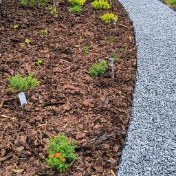 DANOGRODY.PL - Rabata z korą, świeżo posadzonymi roślinami i ścieżką z jasnego żwiru, oddzielona czarnym obrzeżem.