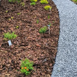 Rabata z korą, świeżo posadzonymi roślinami i ścieżką z jasnego żwiru, oddzielona czarnym obrzeżem.