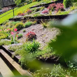 Kaskadowy ogród na zboczu z różnorodną roślinnością, kamieniami i drewnianymi elementami, częściowo przysłonięty liśćmi w pierwszym planie.