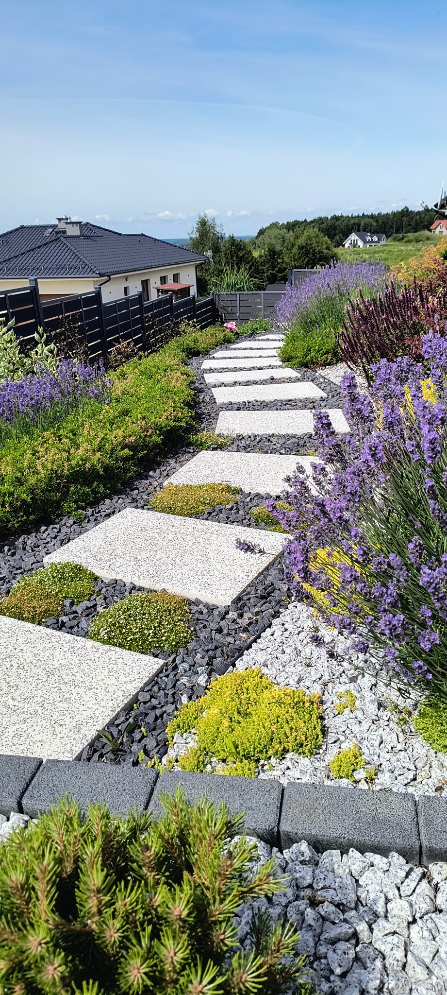 Ogród z ścieżką z betonowych płyt, wysypany ozdobnym grysem, obsadzony różnymi roślinami, w tym lawendą i niskimi krzewami iglastymi, z widokiem na dom i okolicę.