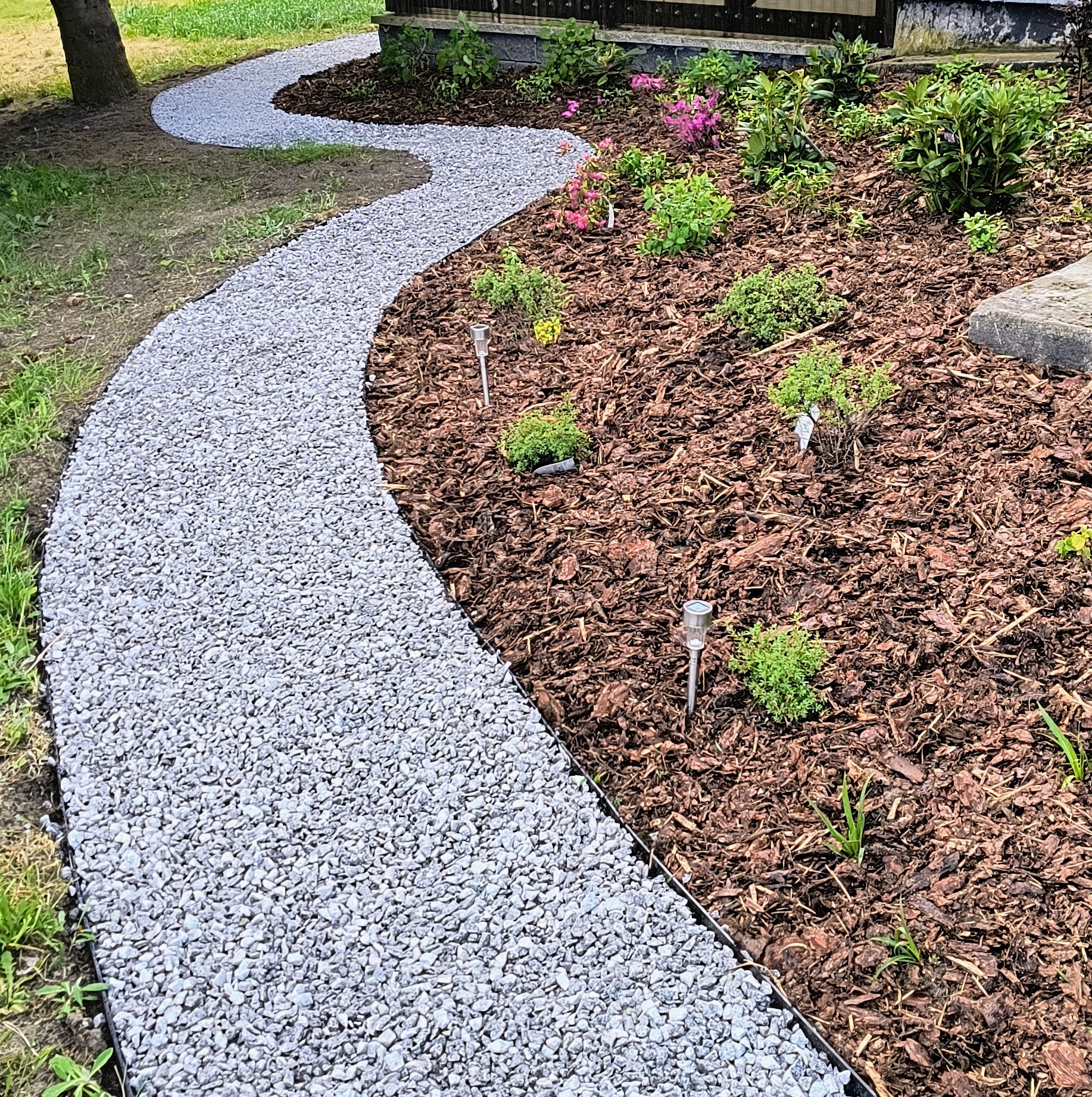 Kępy zieleni i kwitnące różowe kwiaty na korze drzewnej, oświetlone solarnymi lampkami, obok wijącej się ścieżki z drobnego, szarego żwiru, oddzielonej metalową obrzeżem.