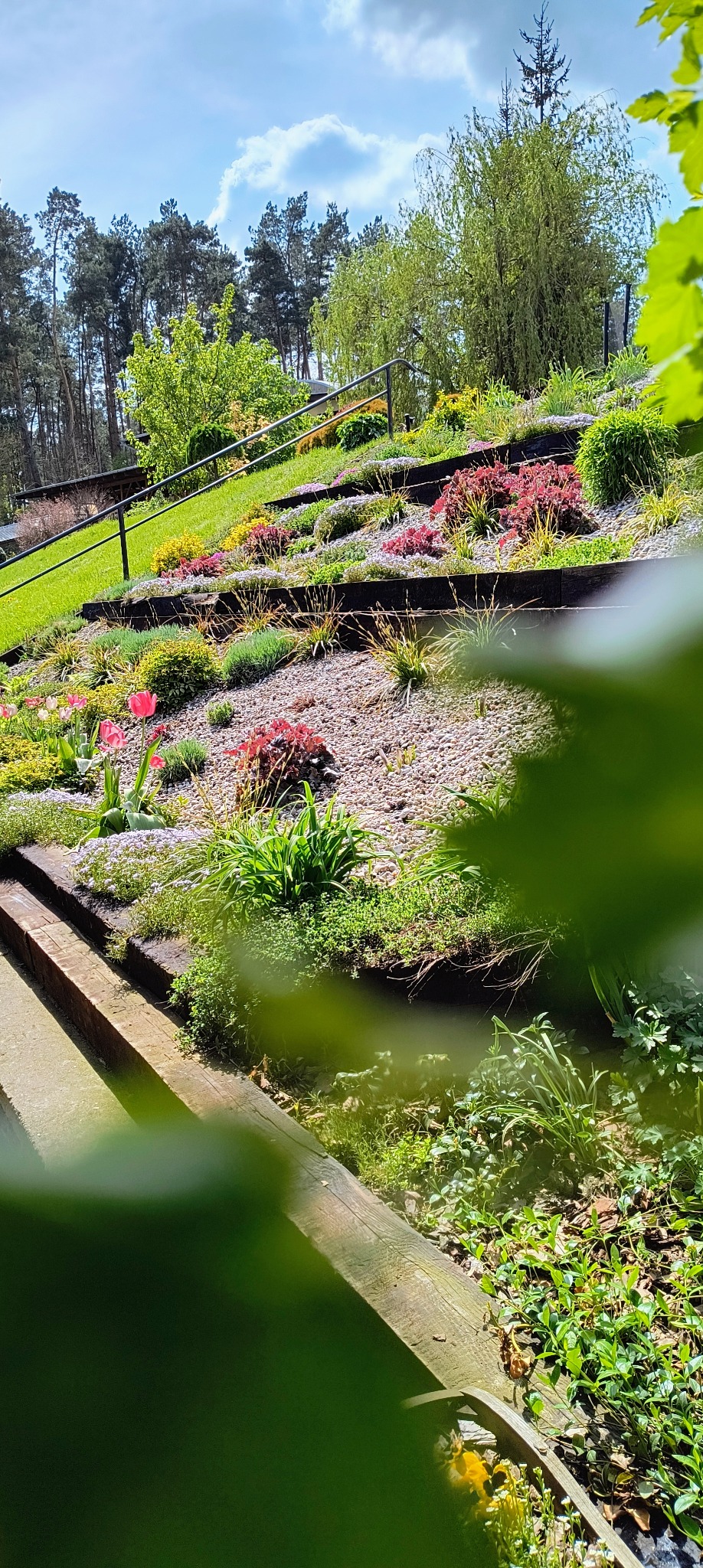 Kaskadowy ogród na zboczu z różnorodną roślinnością, kamieniami i drewnianymi elementami, częściowo przysłonięty liśćmi w pierwszym planie.