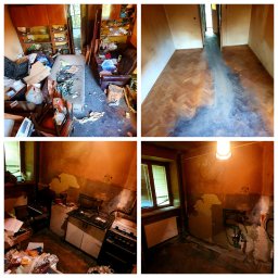 Dezynsekcja i deratyzacja Warszawa 4