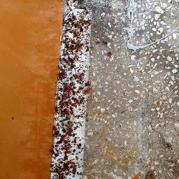 Insecteliminator sp. z o. o. - Lepa na karaluchy przy ścianie, widoczne martwe owady przyklejone do powierzchni.