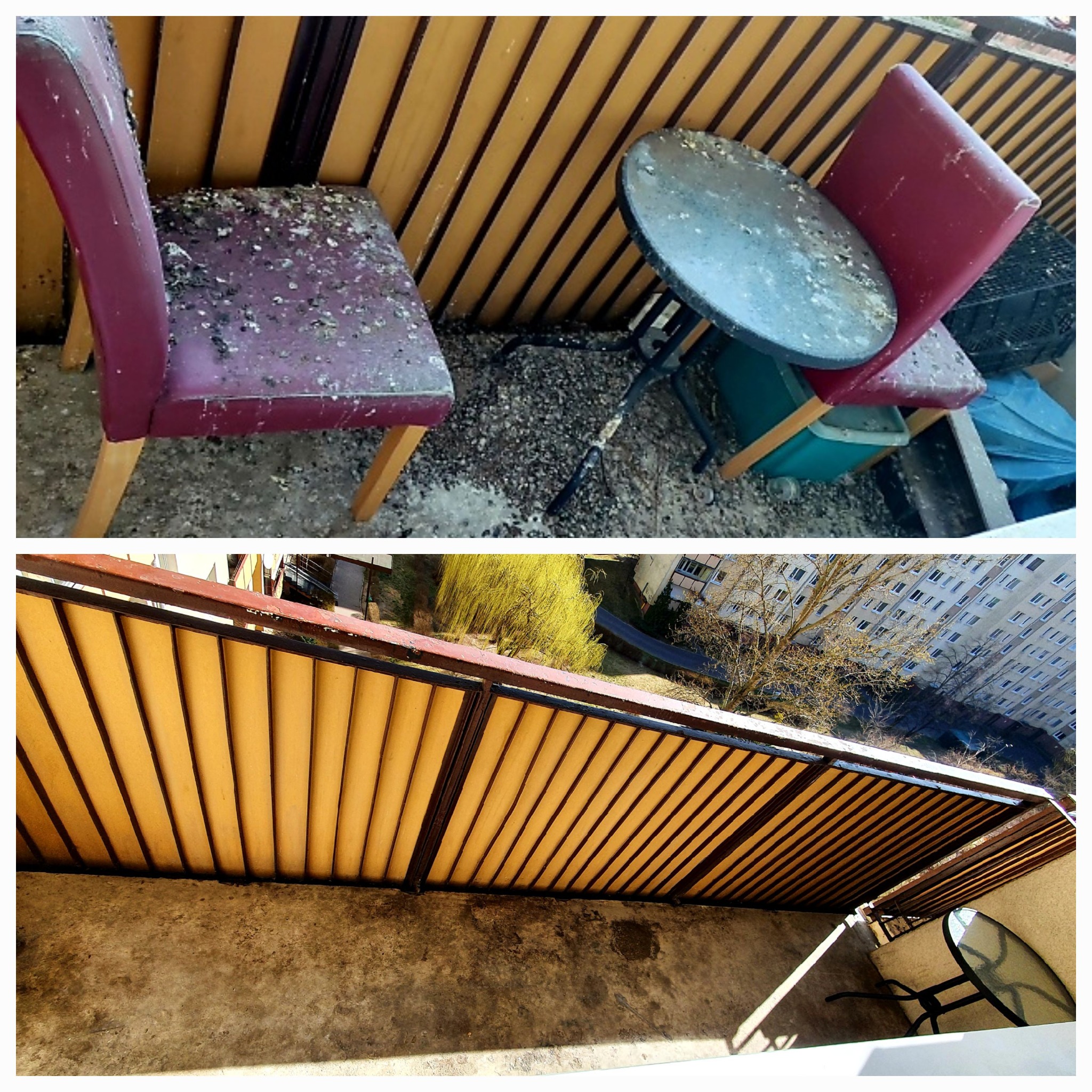 Zanieczyszczony ptasimi odchodami balkon z krzesłami i stolikiem, widok z góry na osiedle mieszkaniowe.