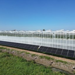 Głuchów, 50 kWp