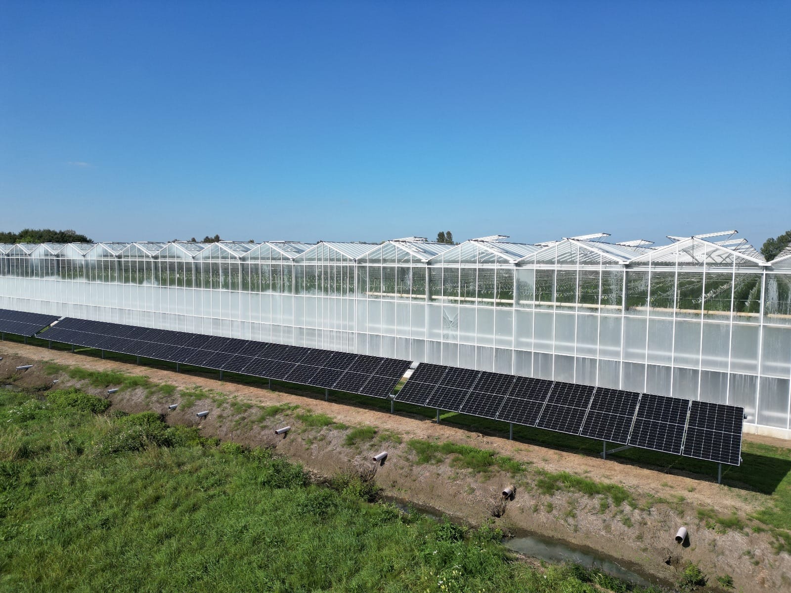 Głuchów, 50 kWp