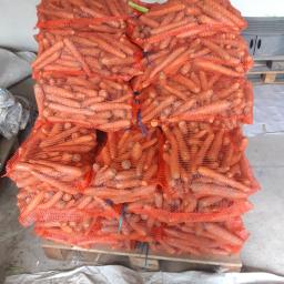 Warzywa Częstochowa 4