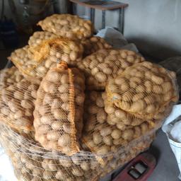 Warzywa Częstochowa 3