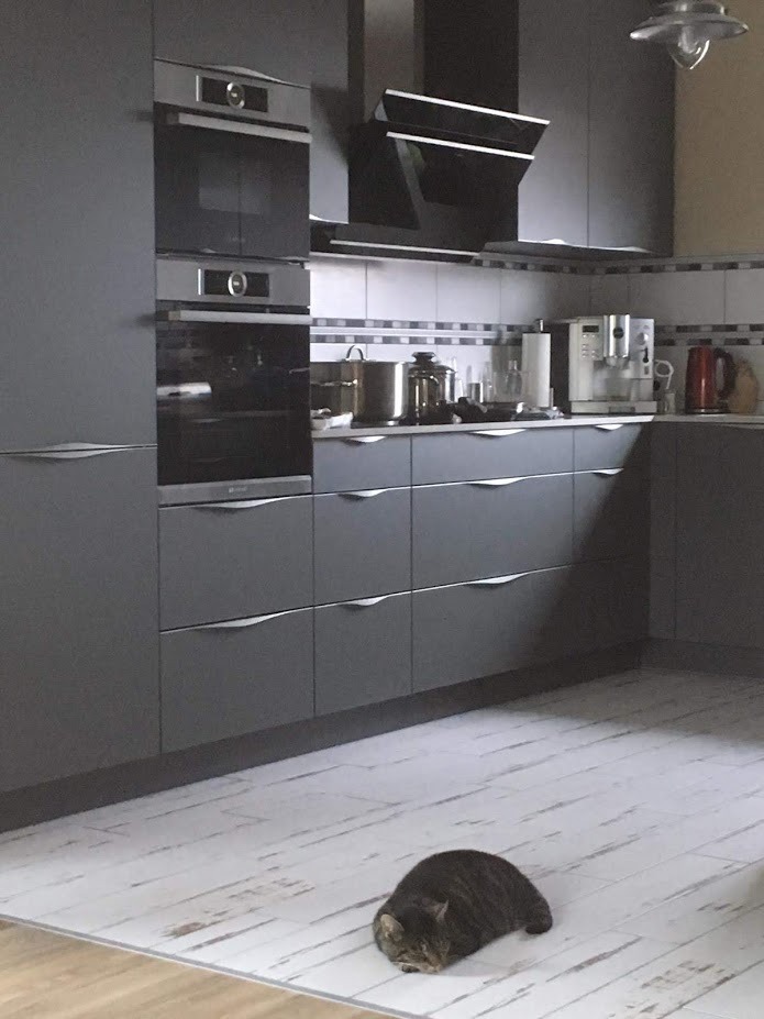 Szara kuchnia z zabudową, piekarnikiem i płytą grzewczą, na podłodze leży kot.